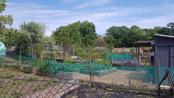 Allotment photo