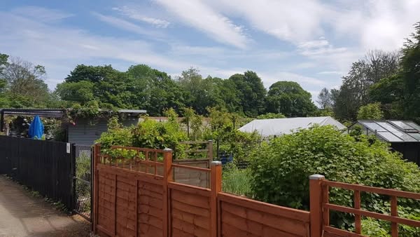 Allotment photo
